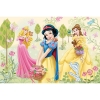36503 Puzzle Color 2x 48 Księżniczki / Princess-6073
