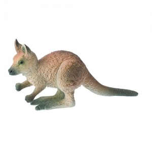Mały kangur-16588