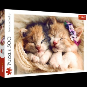 37271 Puzzle 500 Śpiące kotki-18042
