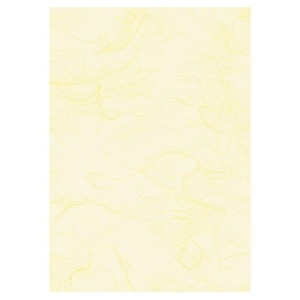 Bibułka włókn./Papier ryżowy 50x70 wanilia-19755