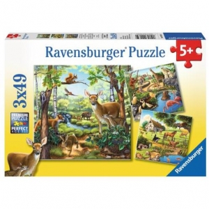 09265 Puzzle 3x49 Zwierzęta-5168