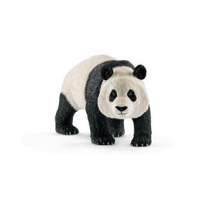 Panda wielka samiec-11971