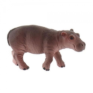 Młody hipopotam-14310