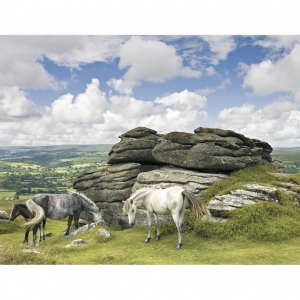 16634 Puzzle 2000 Konie w parku Dartmoor R-1597