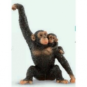 Szympansica z małym-16572