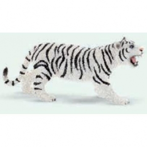 Biały tygrys-16579